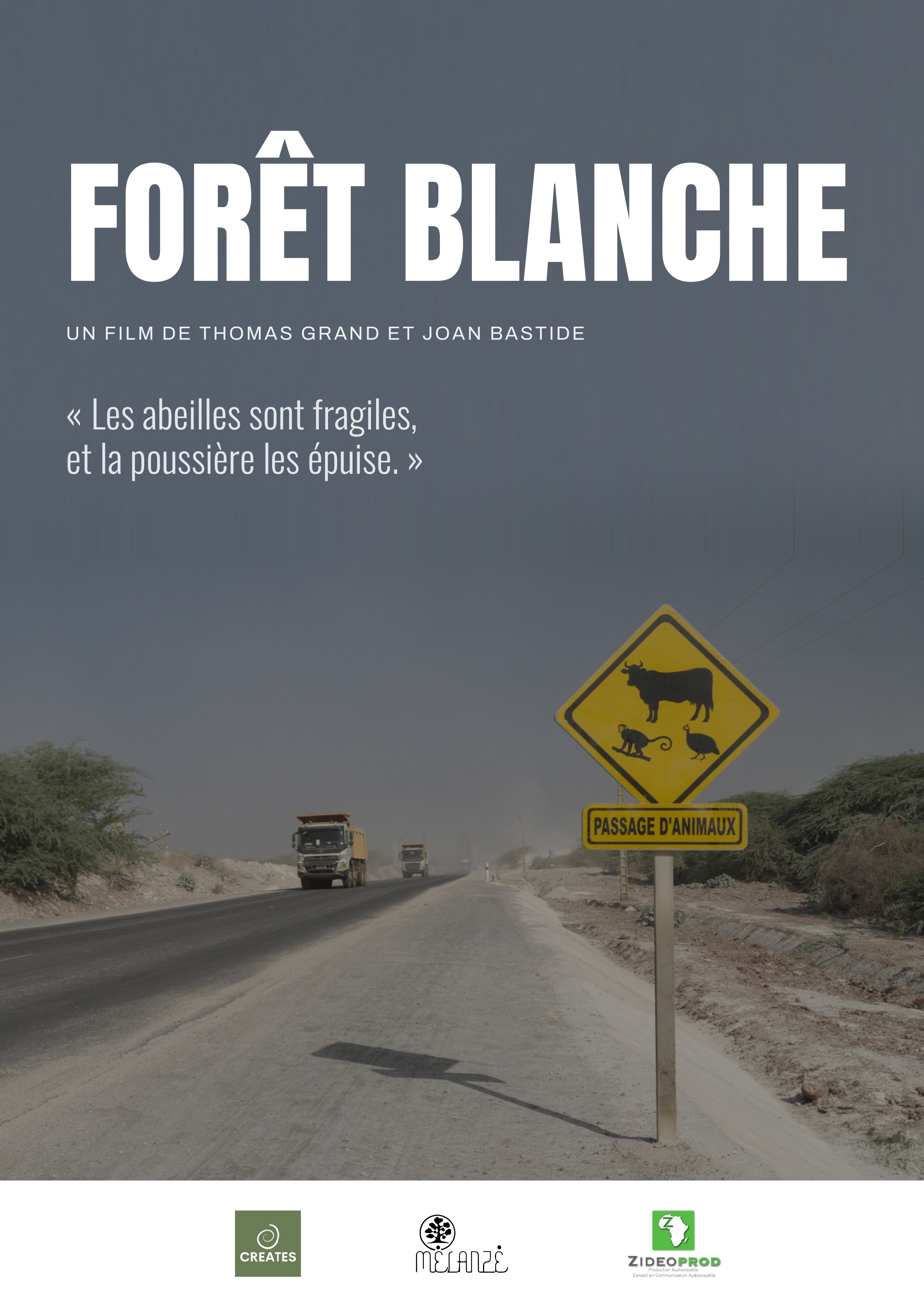 Affiche du film Forêt Blanche