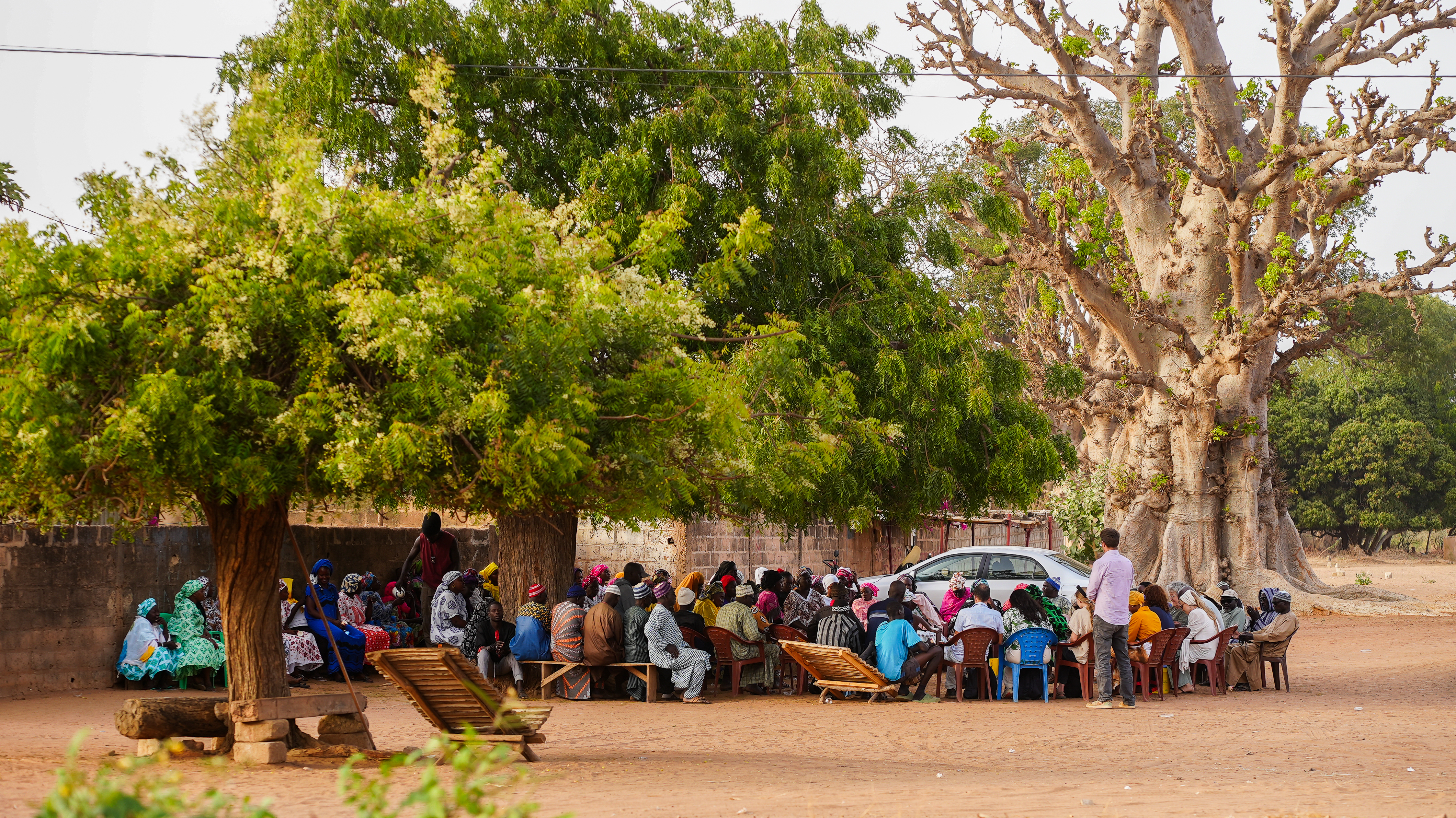 Réunion communautaire sous un baobab au Sénégal
