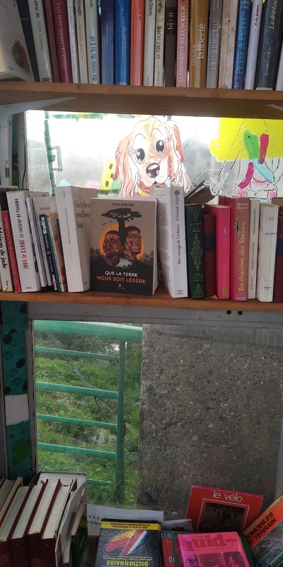 Boîte à livres - L'Île-Bouchard - Touraine